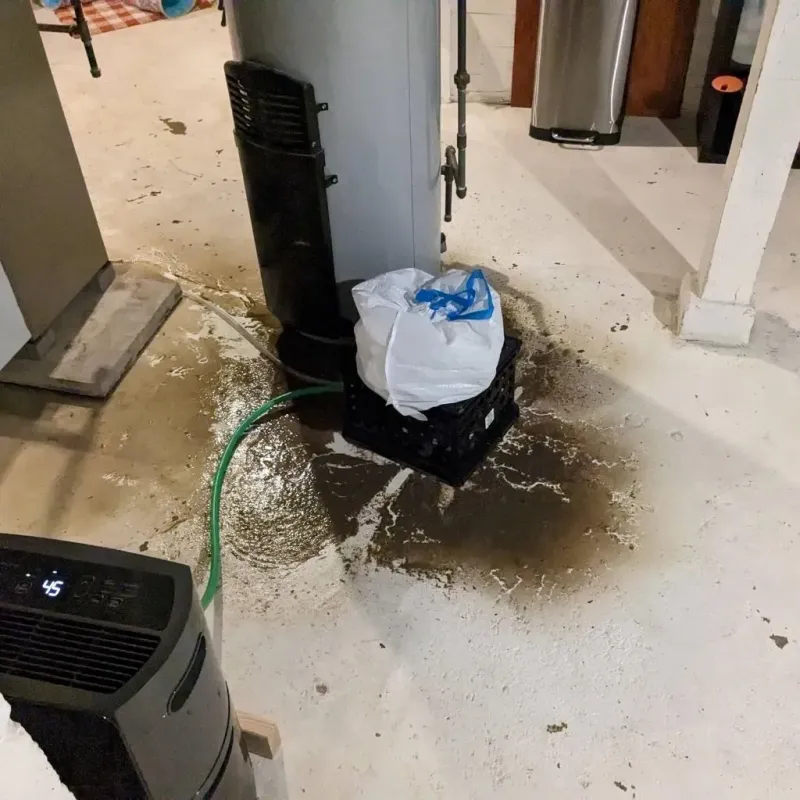 Sewage Backup Cleanup Service in Burnt Store Marina, FL